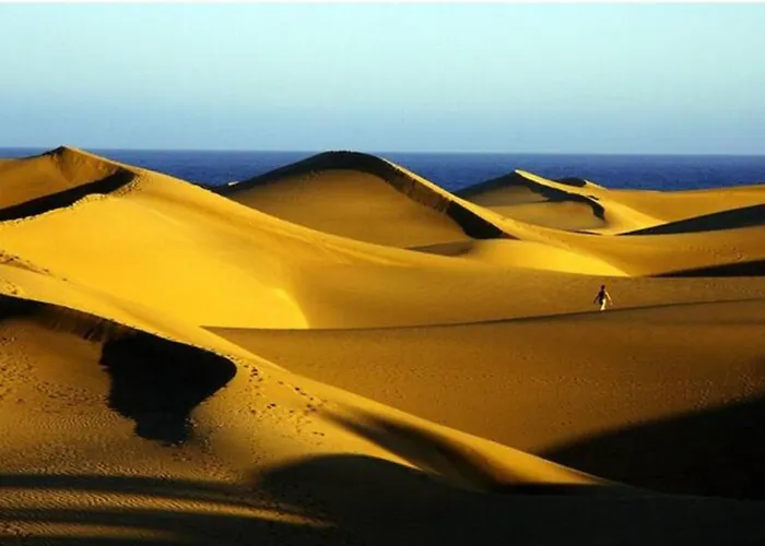 Apartmán Paraiso By Casas Cocodrilo *